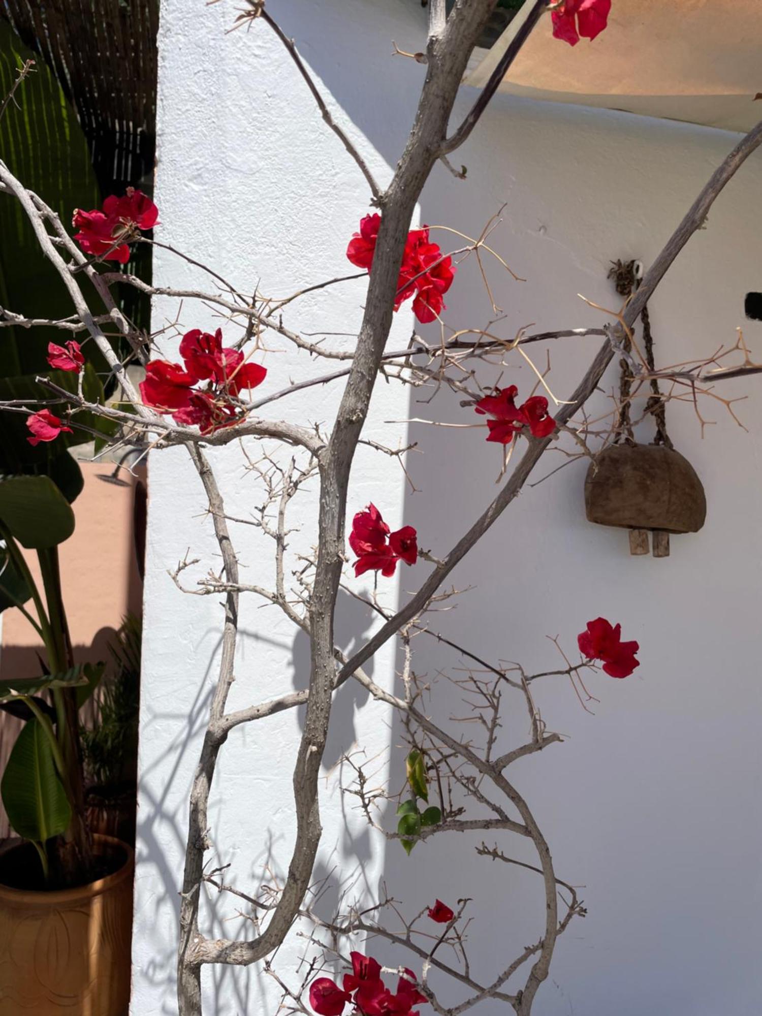 Mar De Fondo En Pedregalejo Apartment Malaga Ngoại thất bức ảnh