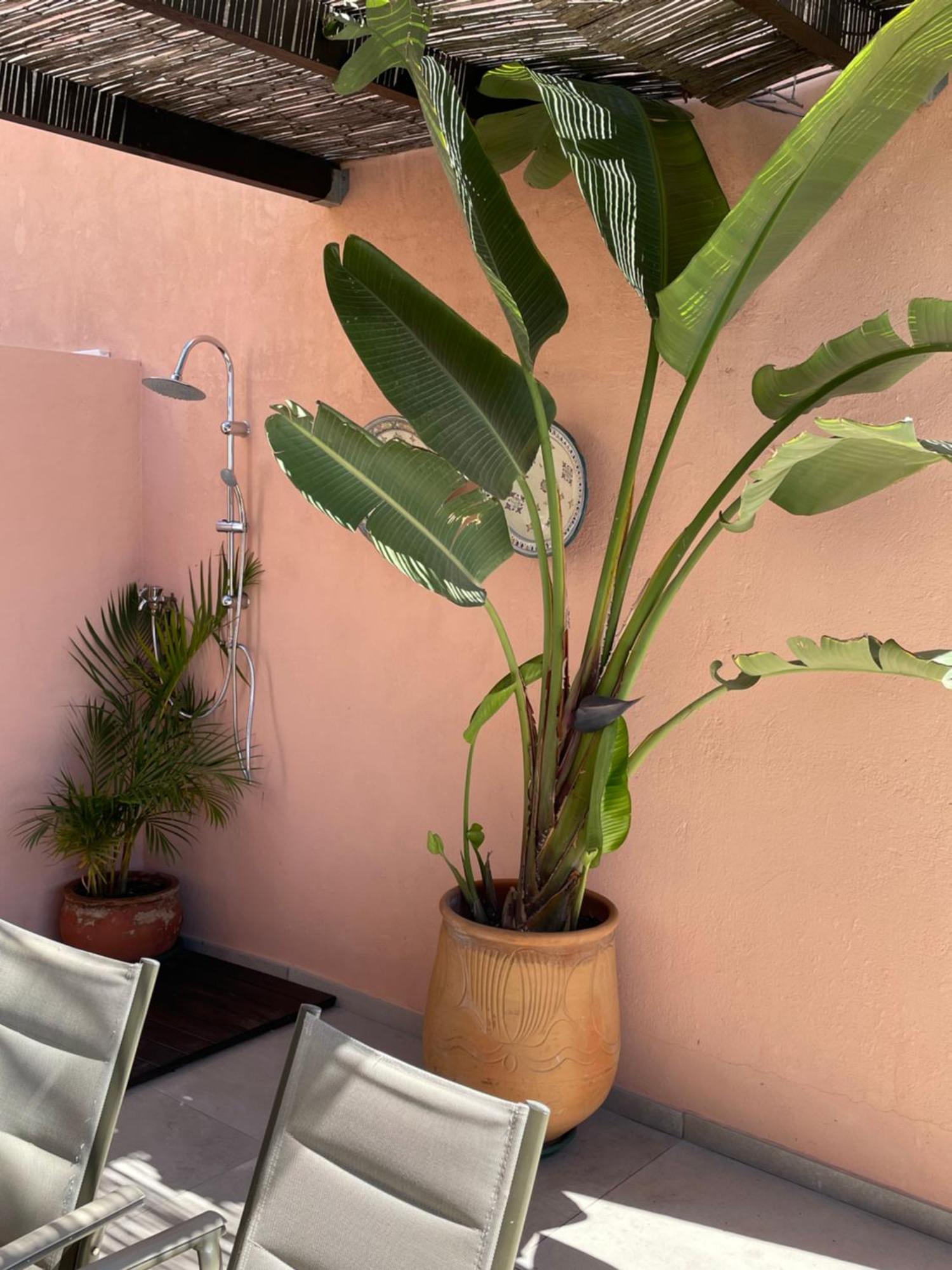 Mar De Fondo En Pedregalejo Apartment Malaga Ngoại thất bức ảnh